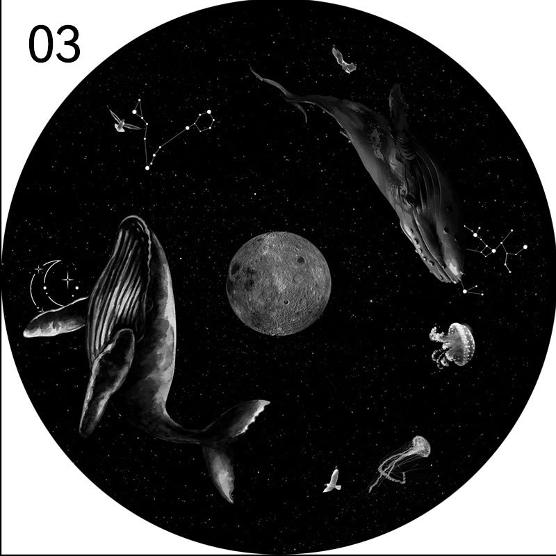 03-black-whale