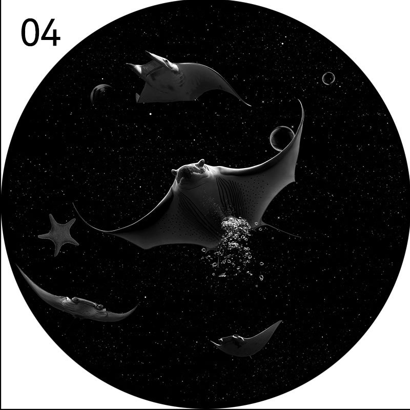 04-manta-ray