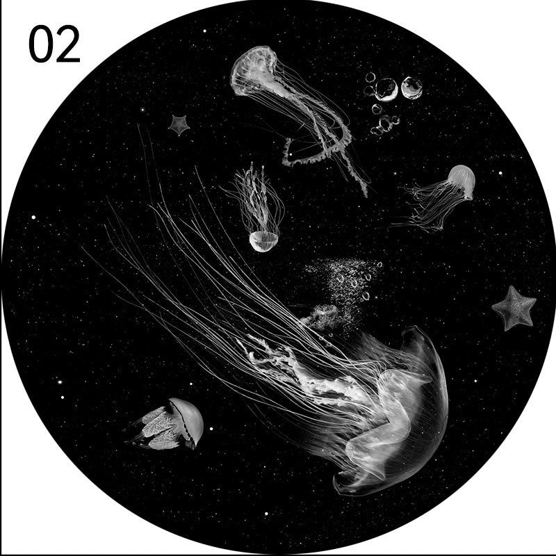 02-jellyfish
